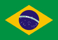 Brazīlija valsts karogs