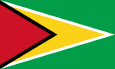 Guyana Nemzeti zászló